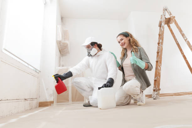 Best Mold Damage Restoration  in USA